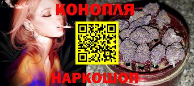 крисы Обь