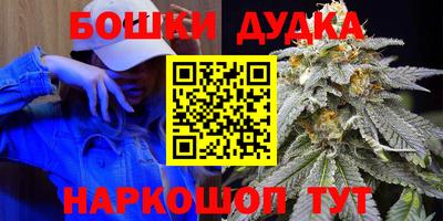 крисы Обь
