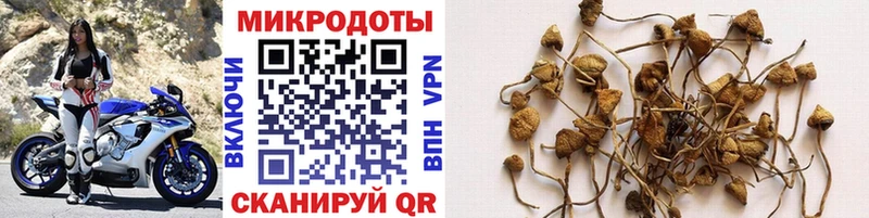 Псилоцибиновые грибы ЛСД Тайшет
