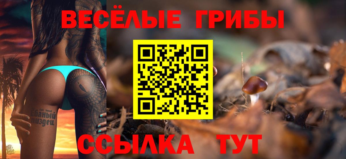 Тайшет  Галлюциногенные грибы MAGIC MUSHROOMS  Псилоцибиновые грибы мицелий  Вход с VPN 