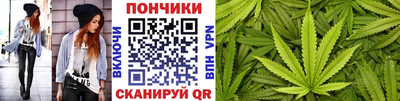 Конопля индика Тайшет